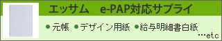 e-PAPΉTvC