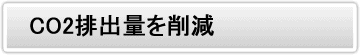 CO2roʂ팸